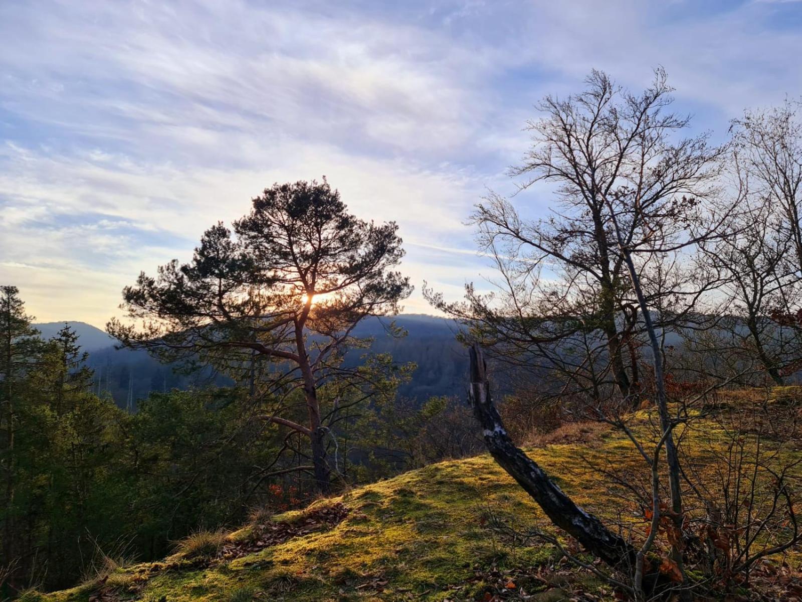 Appartement Schoene Aussicht Gelb *